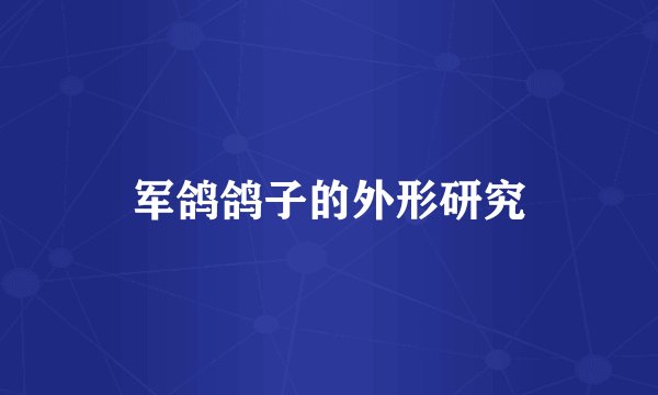 军鸽鸽子的外形研究