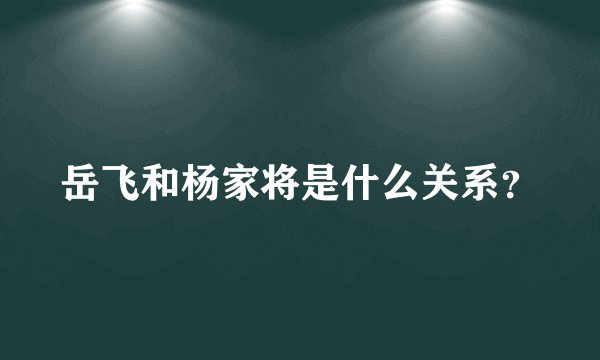岳飞和杨家将是什么关系？