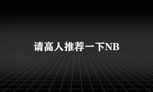 请高人推荐一下NB