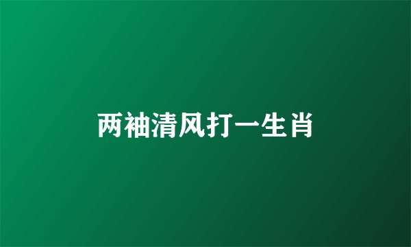 两袖清风打一生肖