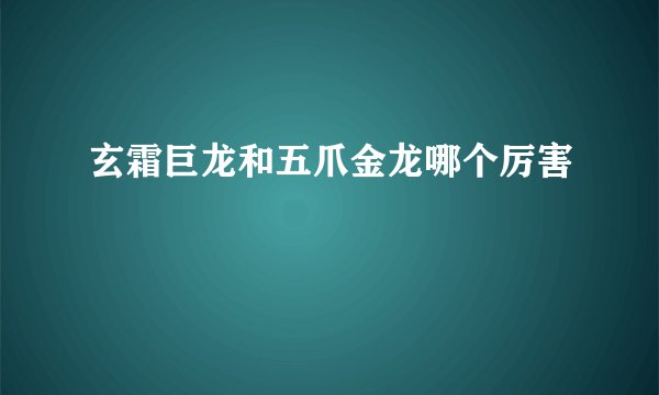 玄霜巨龙和五爪金龙哪个厉害