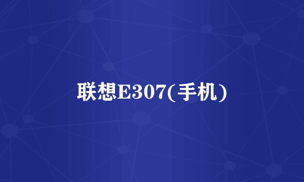 联想E307(手机)