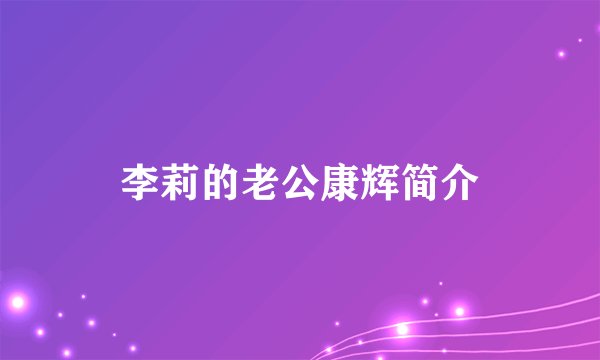 李莉的老公康辉简介