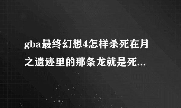 gba最终幻想4怎样杀死在月之遗迹里的那条龙就是死了可以得英雄之盾的那个我都99级