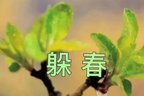 躲春一家人可以在一个房里吗