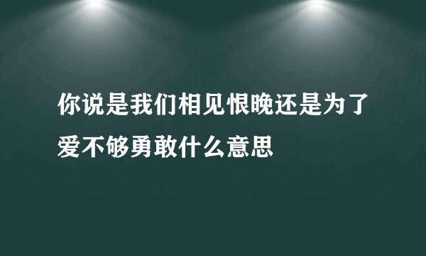你说是我们相见恨晚还是为了爱不够勇敢什么意思
