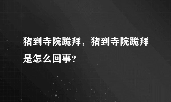 猪到寺院跪拜，猪到寺院跪拜是怎么回事？