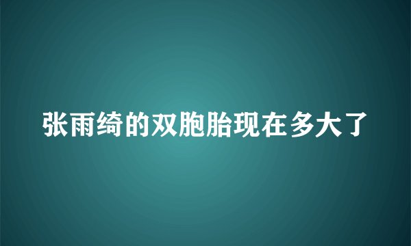 张雨绮的双胞胎现在多大了