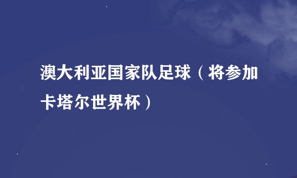 澳大利亚国家队足球（将参加卡塔尔世界杯）