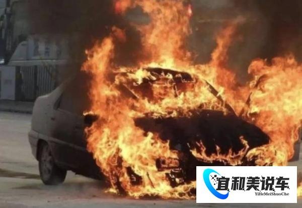 新能源车年检上热搜,检测更严,上岁数的电车不好混了