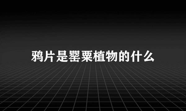 鸦片是罂粟植物的什么