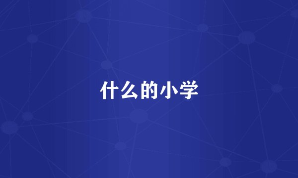 什么的小学