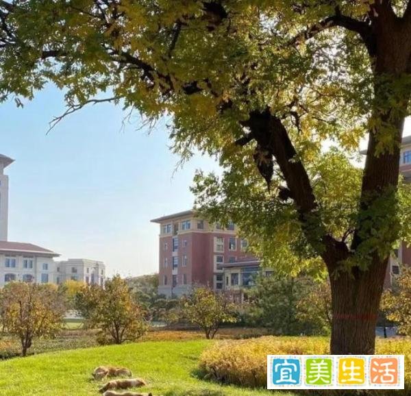 山西午睡文化：不分时间地点物种，你真的了解吗？