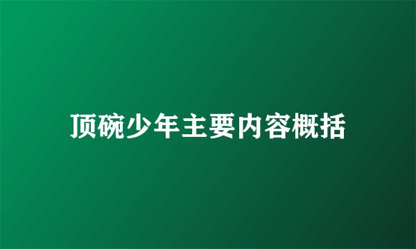 顶碗少年主要内容概括