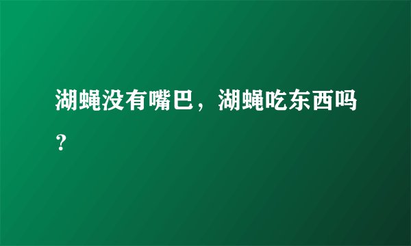 湖蝇没有嘴巴，湖蝇吃东西吗？