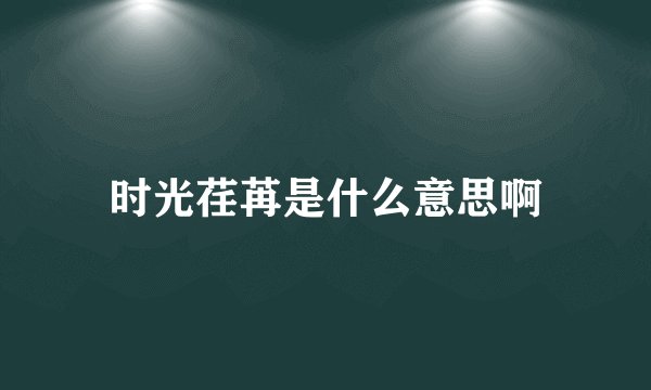 时光荏苒是什么意思啊