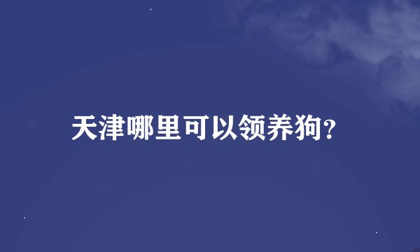 天津哪里可以领养狗？