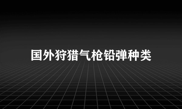 国外狩猎气枪铅弹种类