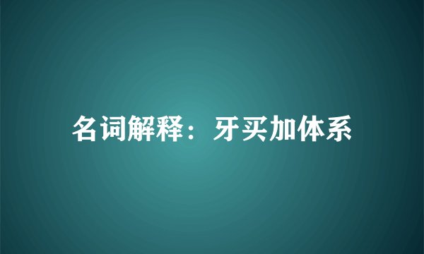 名词解释：牙买加体系