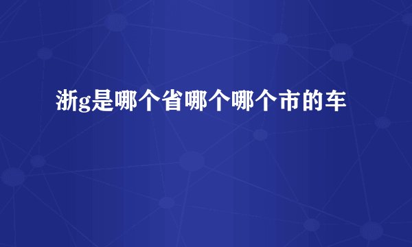 浙g是哪个省哪个哪个市的车