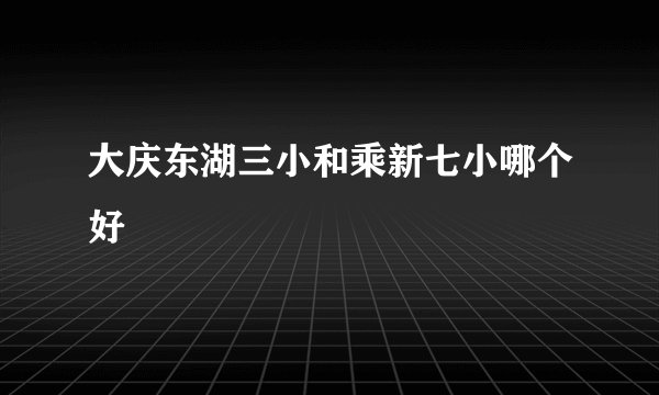 大庆东湖三小和乘新七小哪个好