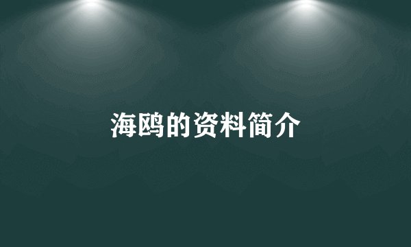 海鸥的资料简介