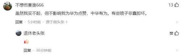 外国网友怎么看华为三折叠手机,网友:国内的小黑子出来走两步!