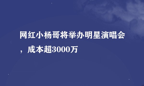 网红小杨哥将举办明星演唱会,成本超3000万