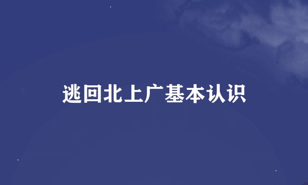 逃回北上广基本认识