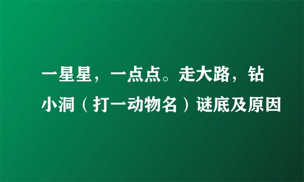 一星星，一点点。走大路，钻小洞（打一动物名）谜底及原因
