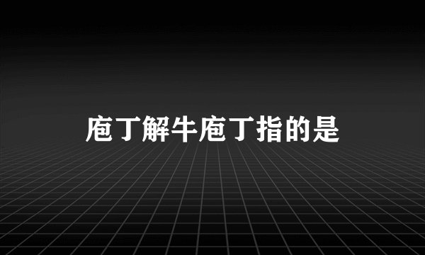 庖丁解牛庖丁指的是