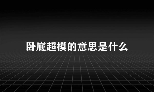 卧底超模的意思是什么