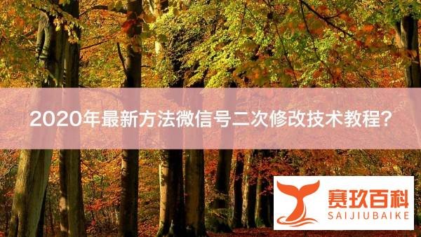 2020年最新方法微信号二次修改技术教程