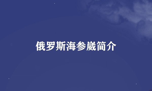 俄罗斯海参崴简介