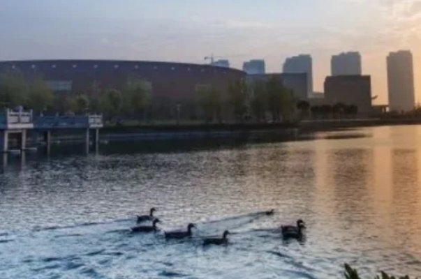 2023年江西师范大学公费师范生录取分数线
