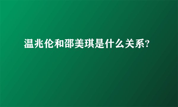 温兆伦和邵美琪是什么关系?