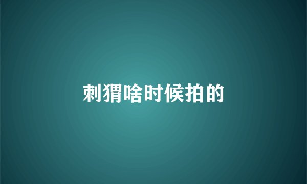 刺猬啥时候拍的