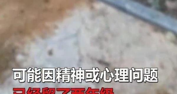 大学生捅死妈妈，在这十五分钟里，母子俩之间到底发生了什么？