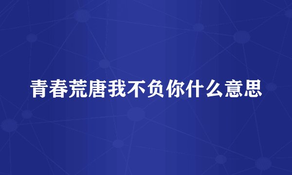 青春荒唐我不负你什么意思