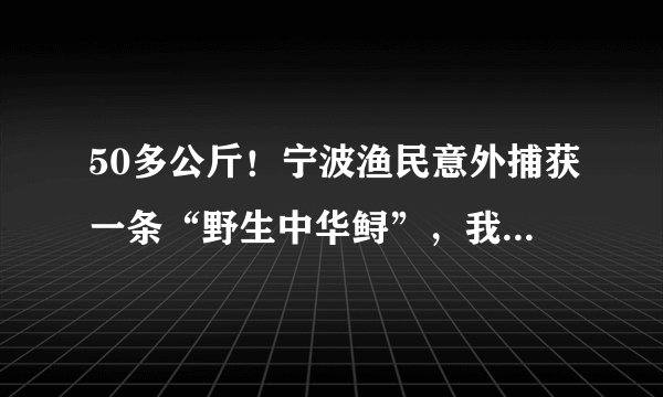 50多公斤！宁波渔民意外捕获一条“野生中华鲟”，我国对其保护有多重视？