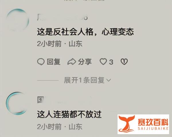 怀孕猫咪招谁惹谁了?被陌生男子一脚踩死,残忍程度真看不下去
