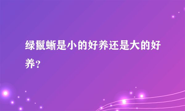 绿鬣蜥是小的好养还是大的好养？
