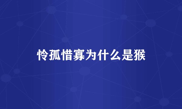 怜孤惜寡为什么是猴