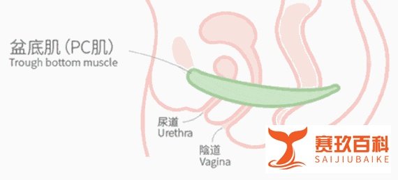 为什么只有绷直了腿才能糕潮啊？