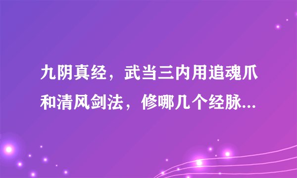九阴真经，武当三内用追魂爪和清风剑法，修哪几个经脉，具体点，还用学其他门派内功吗，求指导，大神来，
