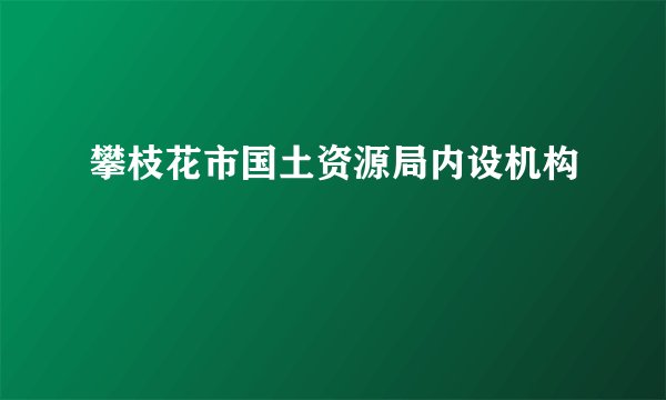 攀枝花市国土资源局内设机构