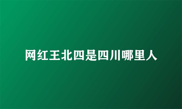 网红王北四是四川哪里人