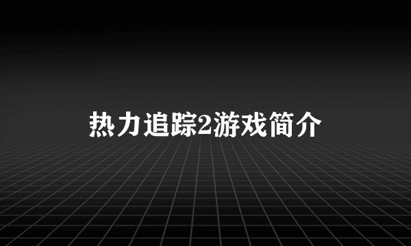 热力追踪2游戏简介
