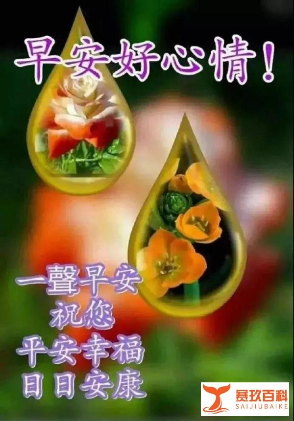 2021年微信最新早安祝福语大全,微信群发朋友圈暖心祝福语