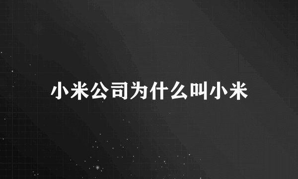 小米公司为什么叫小米